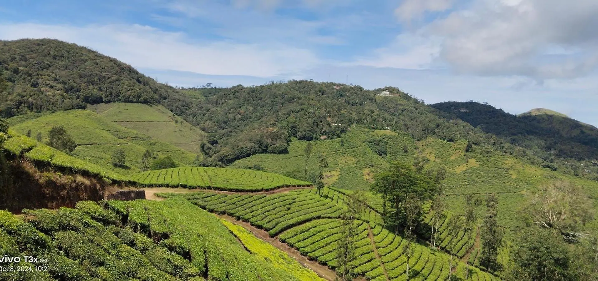 Cardamomrock Resorts Vagamon Holiday home