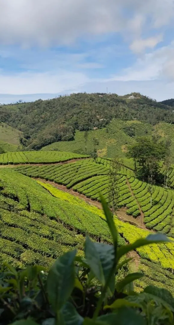 Cardamomrock Resorts Vagamon Holiday home