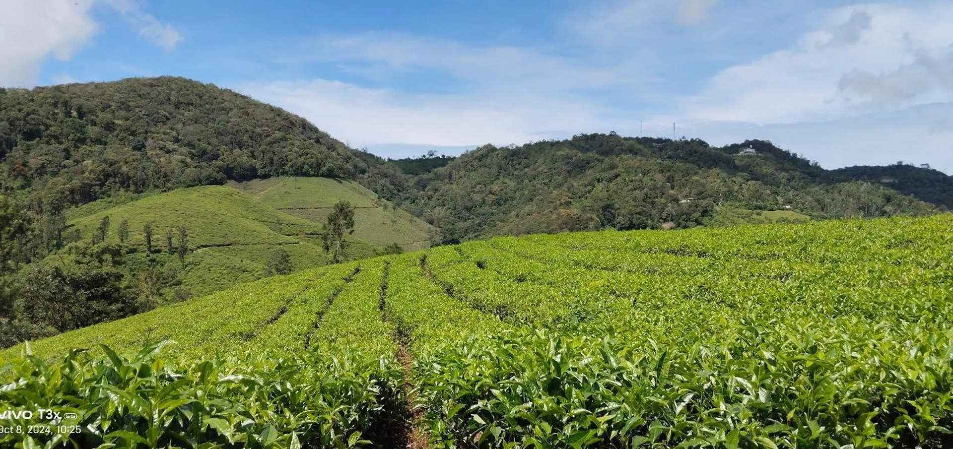 Cardamomrock Resorts Vagamon