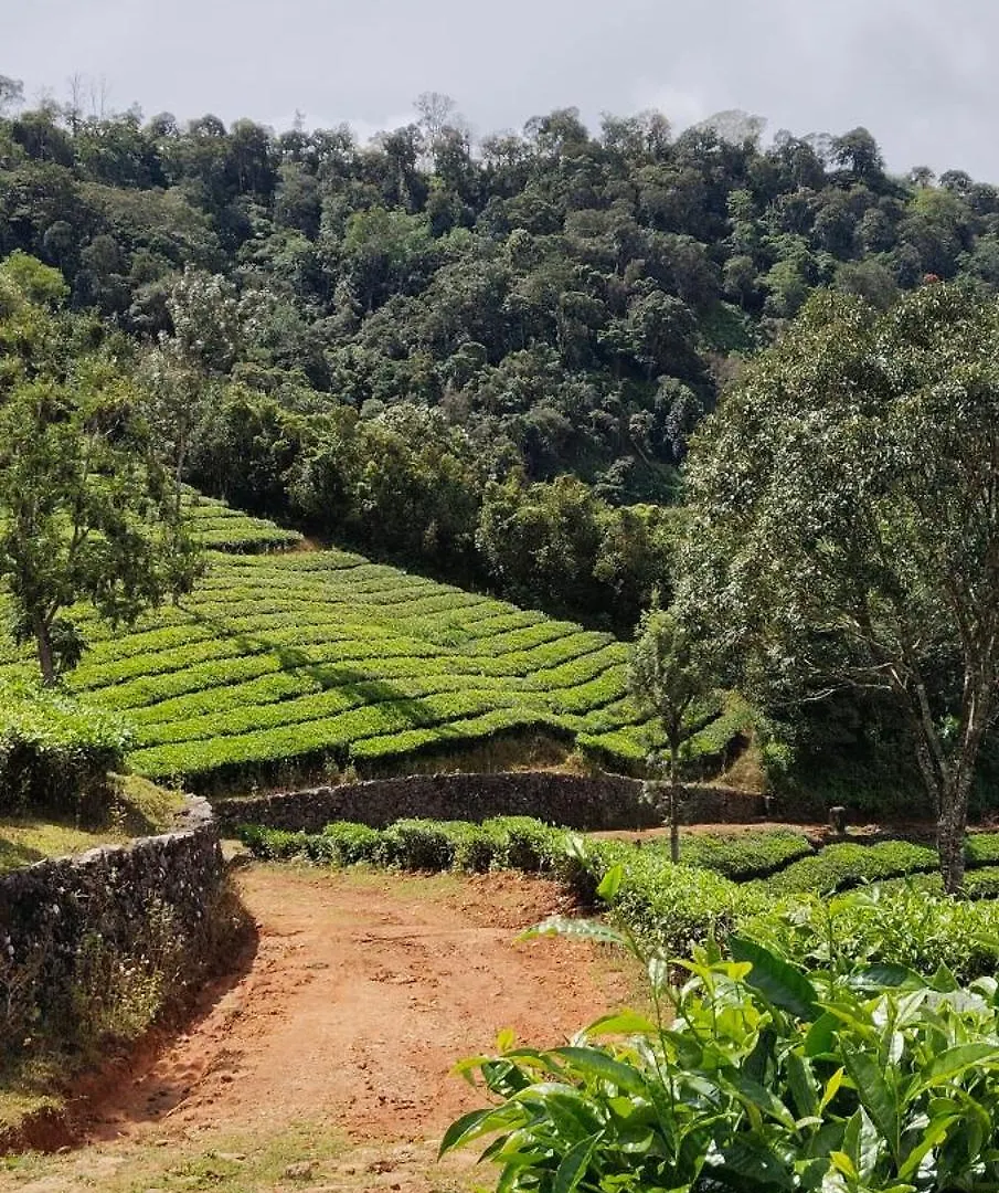 Cardamomrock Resorts Vagamon India