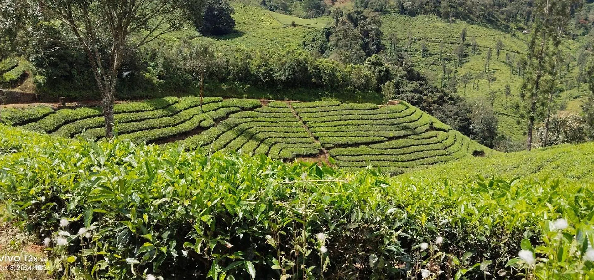 Cardamomrock Resorts Vagamon India
