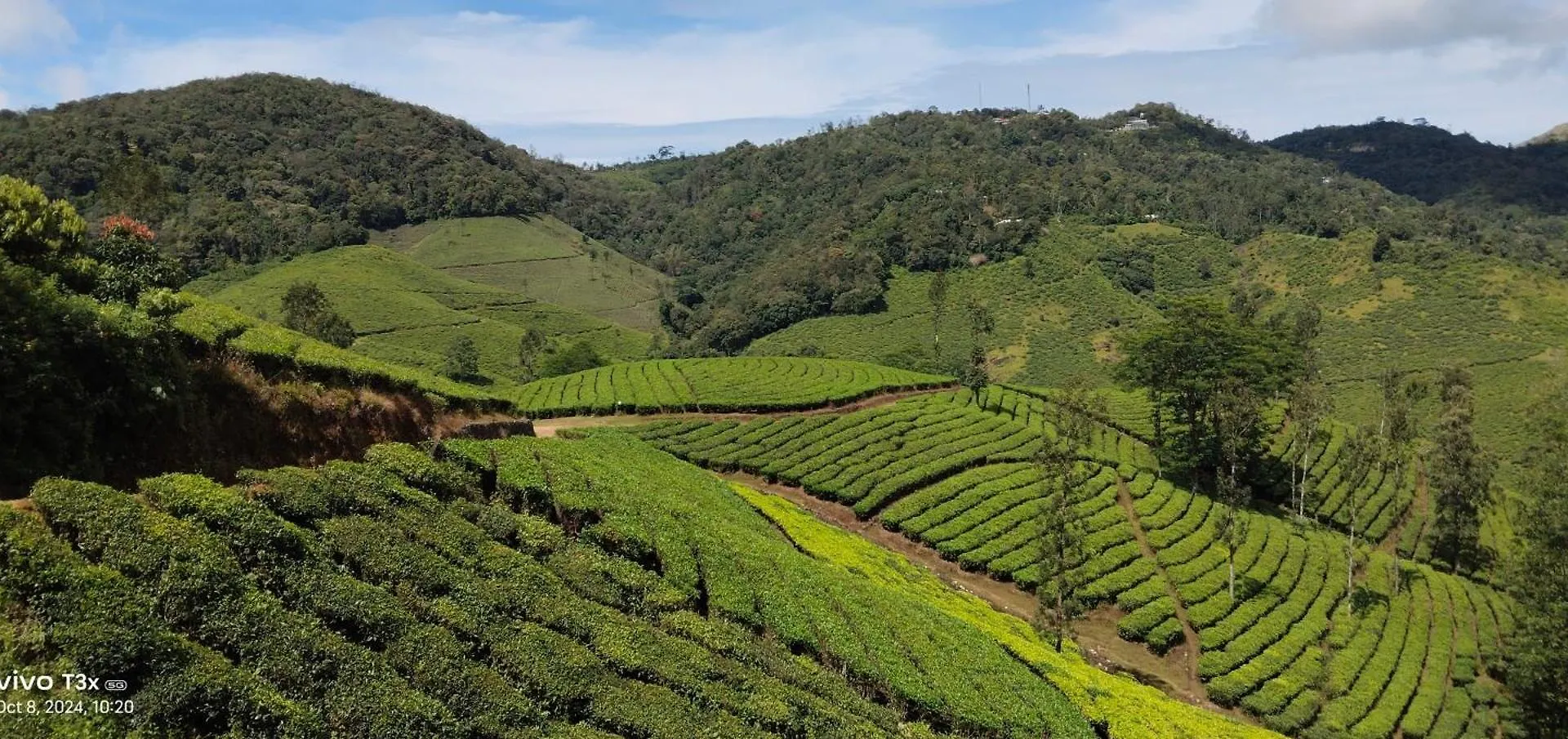 Cardamomrock Resorts Vagamon Holiday home