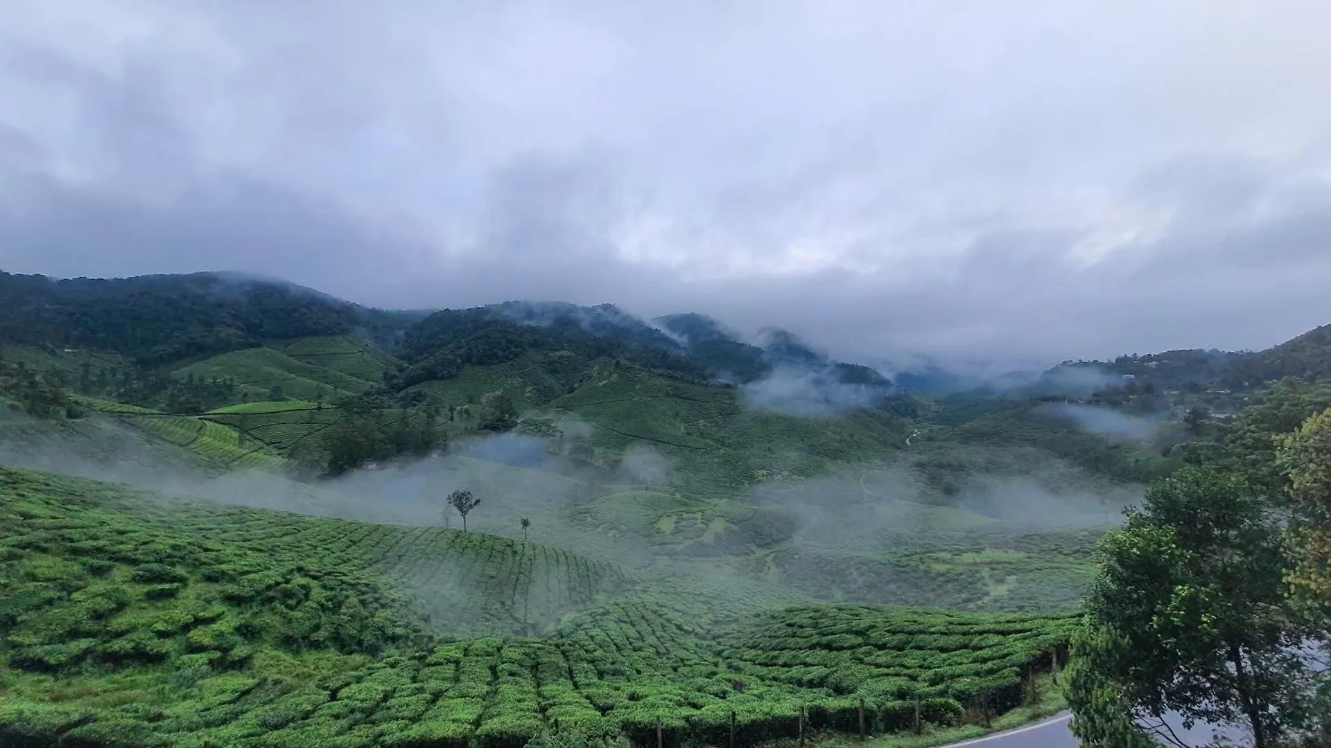 Cardamomrock Resorts Vagamon