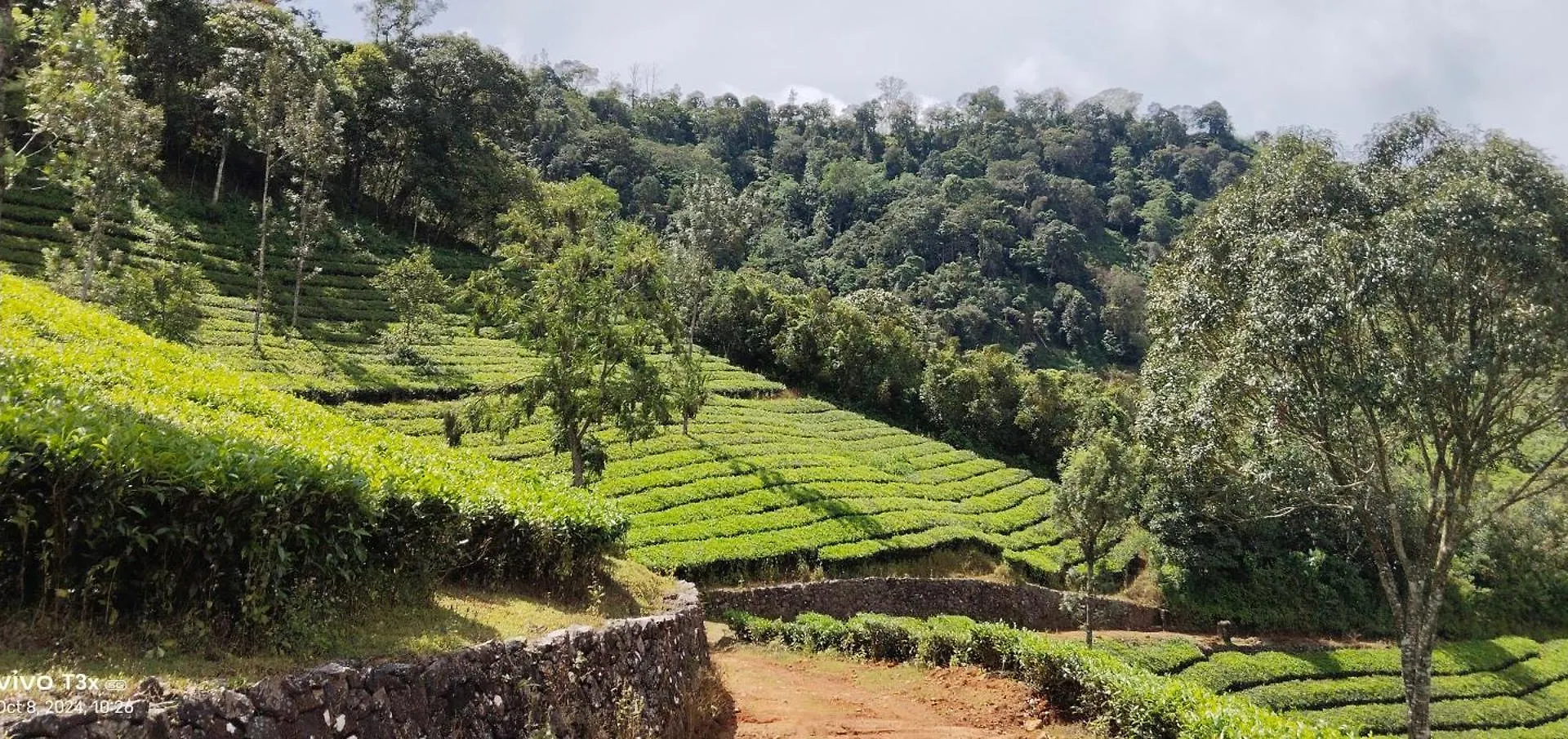 Holiday home Cardamomrock Resorts Vagamon India