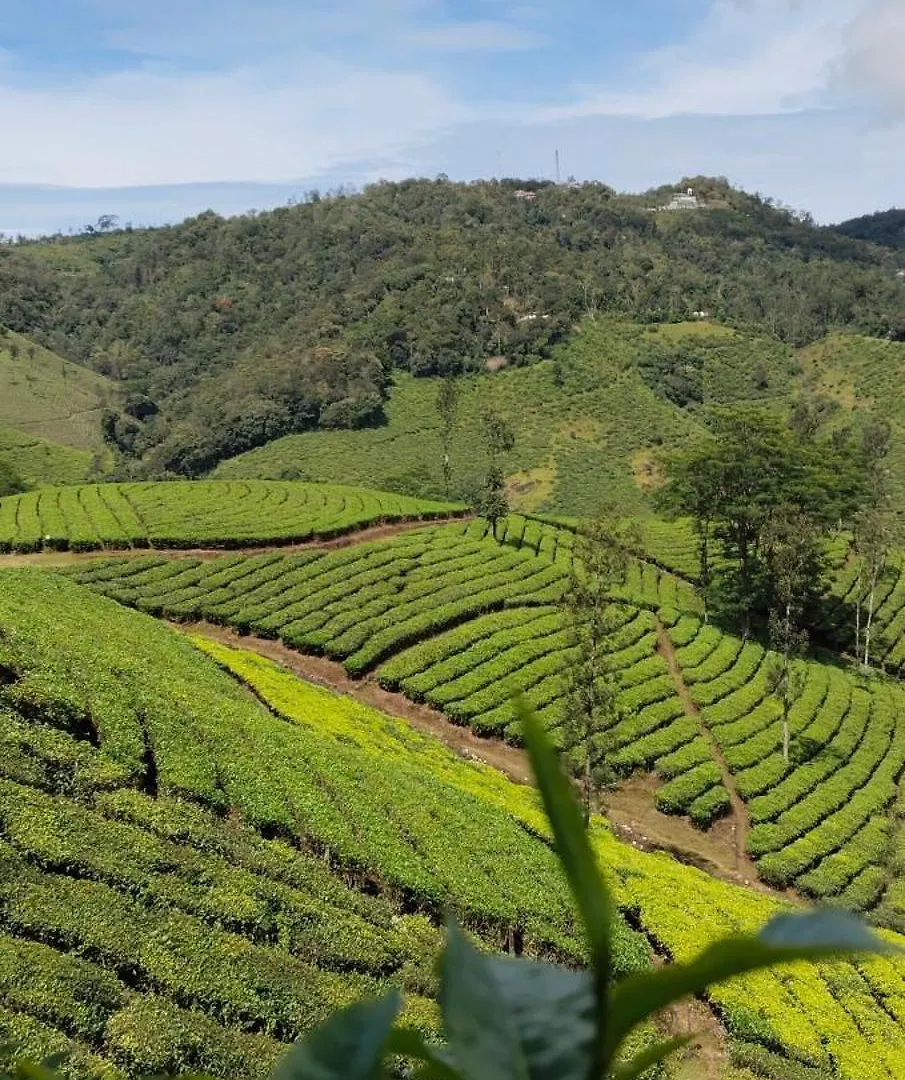 Cardamomrock Resorts Vagamon 0*,  India